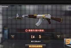 cf最新爆料2017,揭秘那年战场风云与英雄传奇