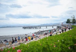 今日西湾公园爆料新闻,最新爆料揭示惊人真相